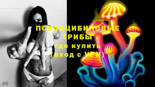 СК Абдулино