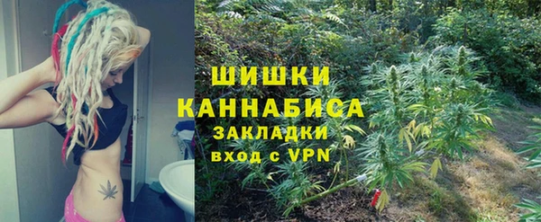 индика Алексин