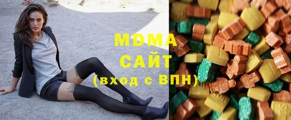 индика Алексин