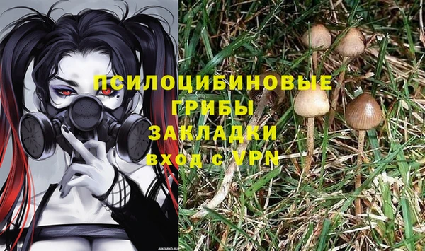 герыч Коряжма