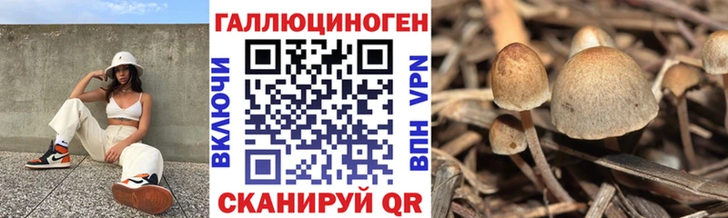 Галлюциногенные грибы мицелий  Чишмы 